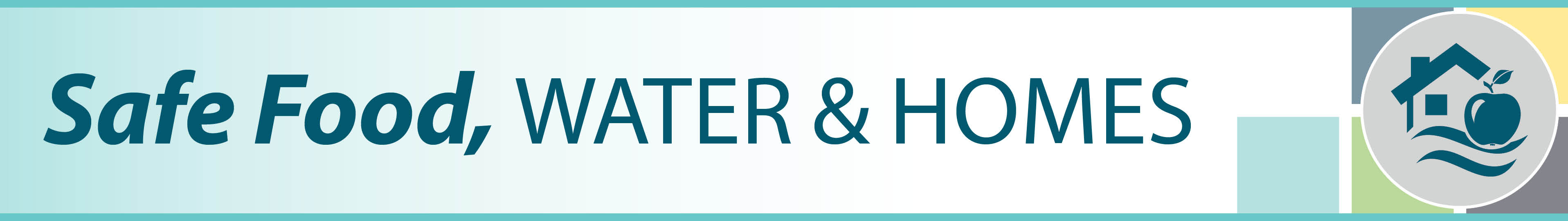 Safe Food, Water and Homes header image